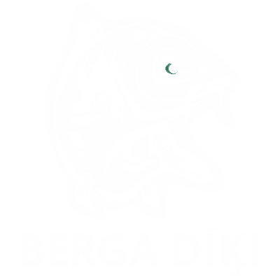 Berga dīķi